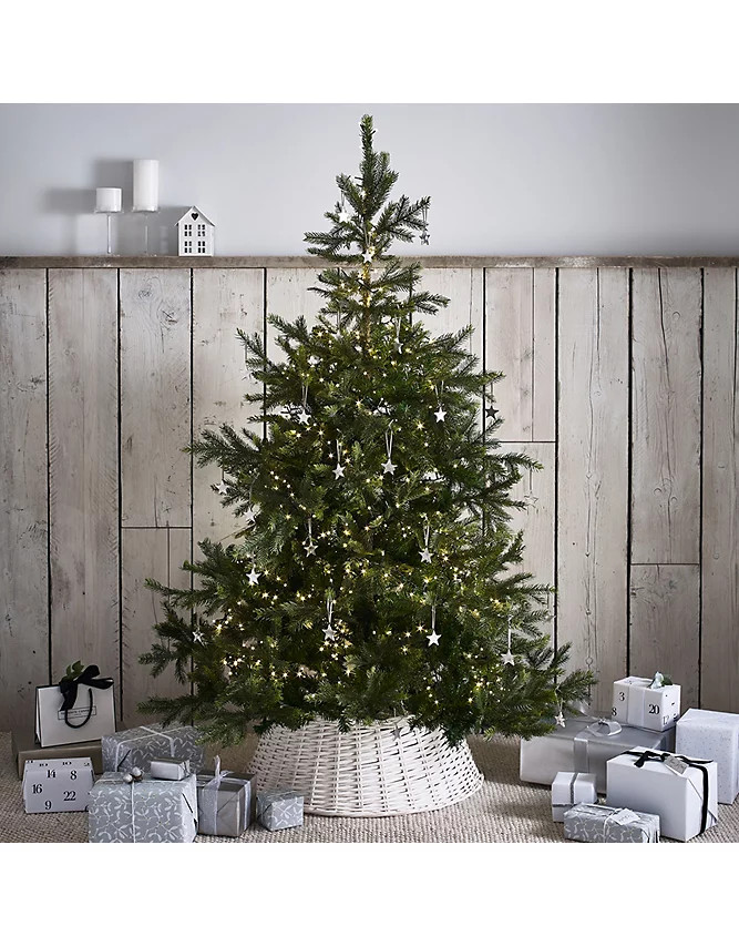 6ft Grand Spruce Christmas Tree | The White Company UK & ROW