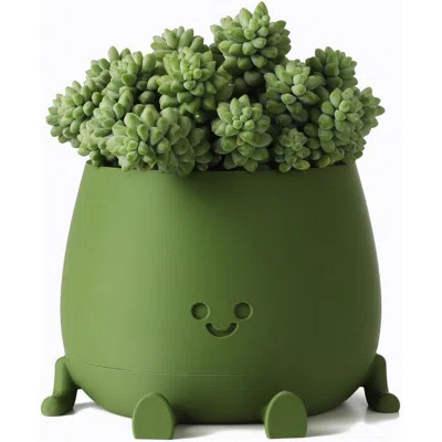 Happy Face Planter Plastic Plant Pot, Self Watering Plant Pot With Drainage Holes For Indoor Outdoor, Succulent Pot, Funny Flower Pot | Wayfair North America