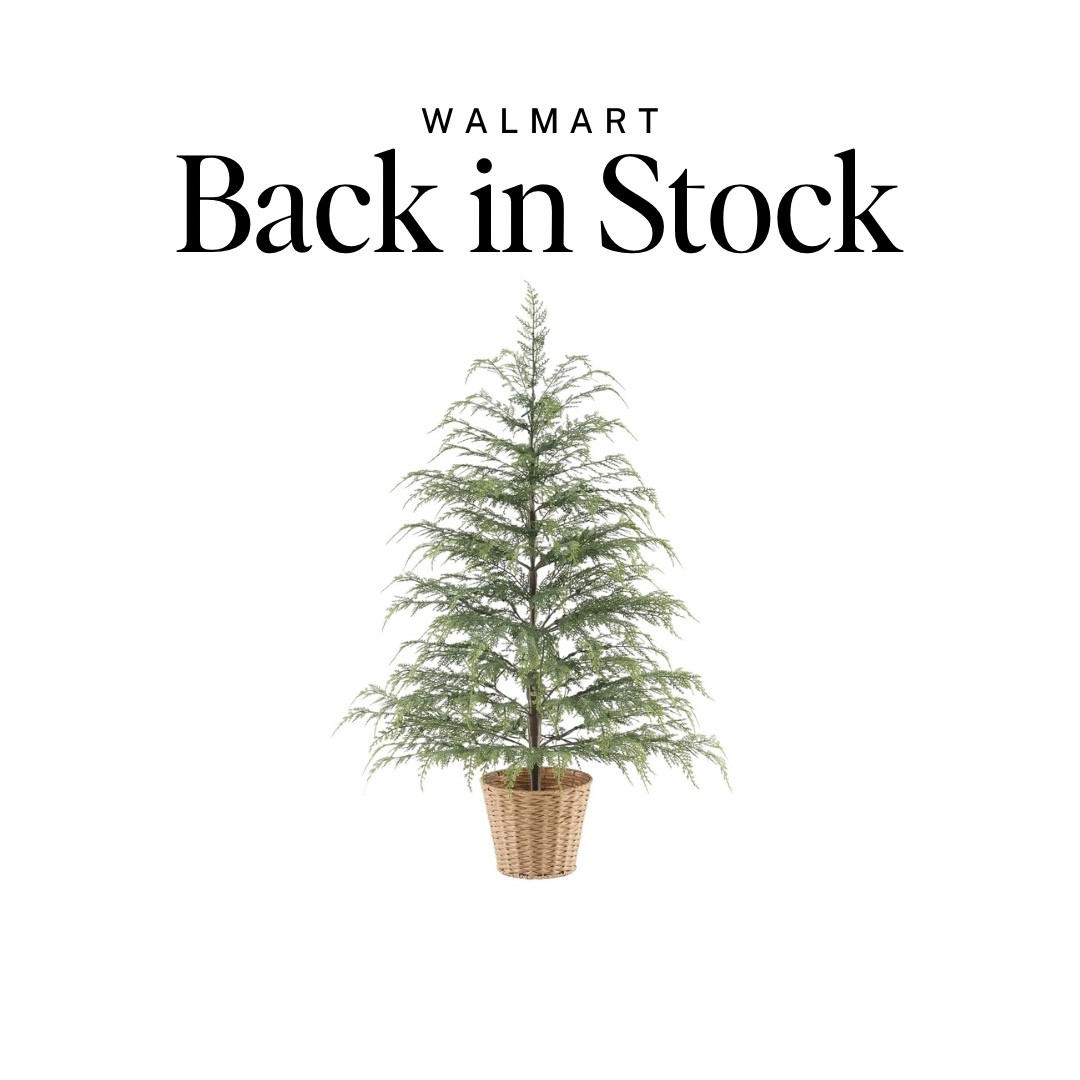 The viral Christmas Tree from Walmart is BACK IN STOCK!

I saw this in person last weekend and have been checking daily for a restock. It won't last long. 

This is so good in person, 4 ft talk and prelit. Perfect for an entryway or buy two and flank a fireplace. 

I just ordered it with free delivery from Walmart+. Stay tuned for unboxing pics! 

Holiday decor, Christmas trees, holiday must-haves, Walmart find, holiday deal, Christmas decor, grandmillenial, chinoiserie Christmas

#holidaydecor #walmartfind #dealsandsteals #walmart



#LTKSeasonal #LTKHome #LTKHoliday