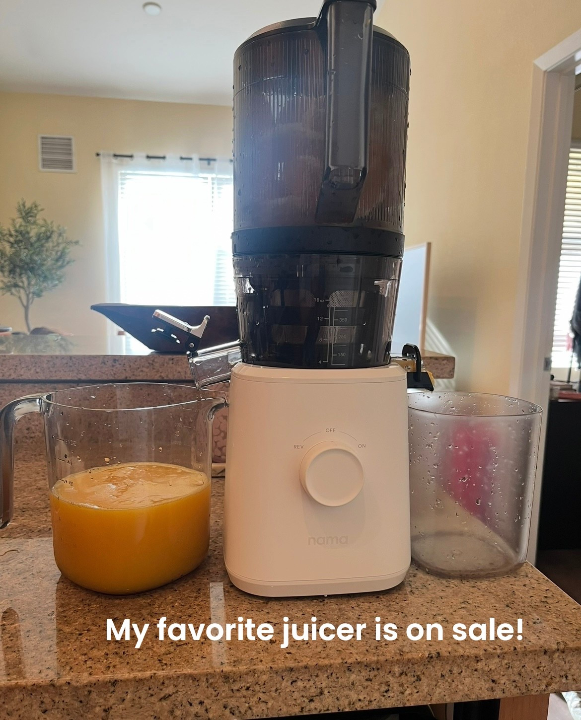 Amazon Prime spring big sale 🥰

#LTKHome #LTKfoodie #LTKSaleAlert