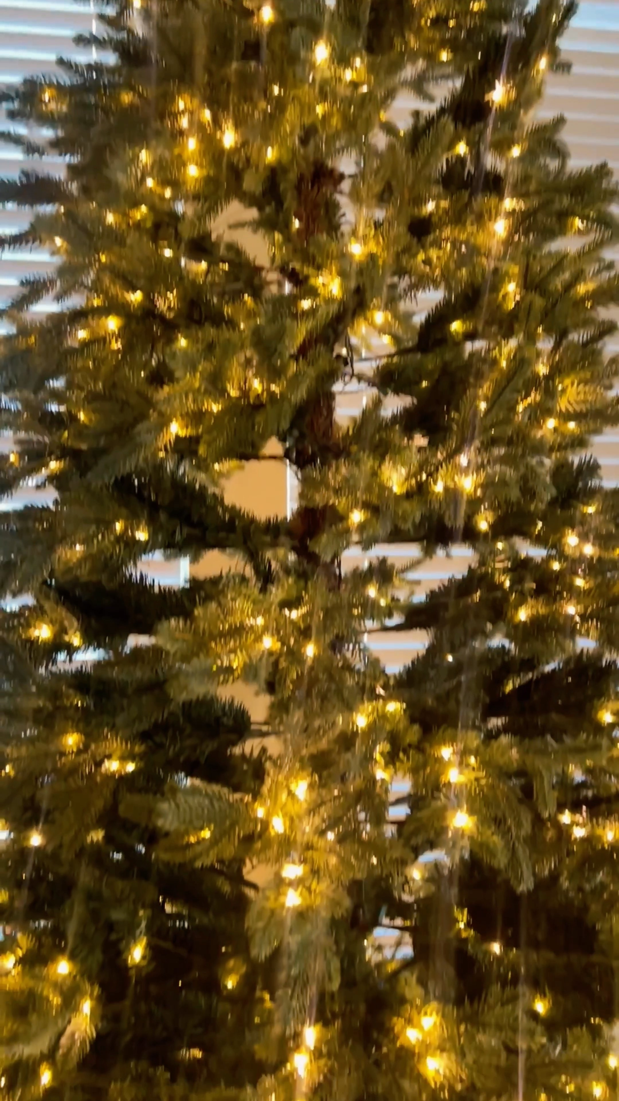 Vlogmas Day 4 🎄✨
Our movie night setup was everything: Nutella strawberries, popcorn, hot cocoa, and setting up our Elf on the Shelf.
Linking my movie-night essentials + kitchen items here so you can recreate the cozy vibes at home!
Follow me on LTK @CosmoChiq for more Vlogmas setups & holiday finds ❤️
#LTKVlogmas 

 

#LTKHoliday #LTKmomlife #LTKHome #LTKKids