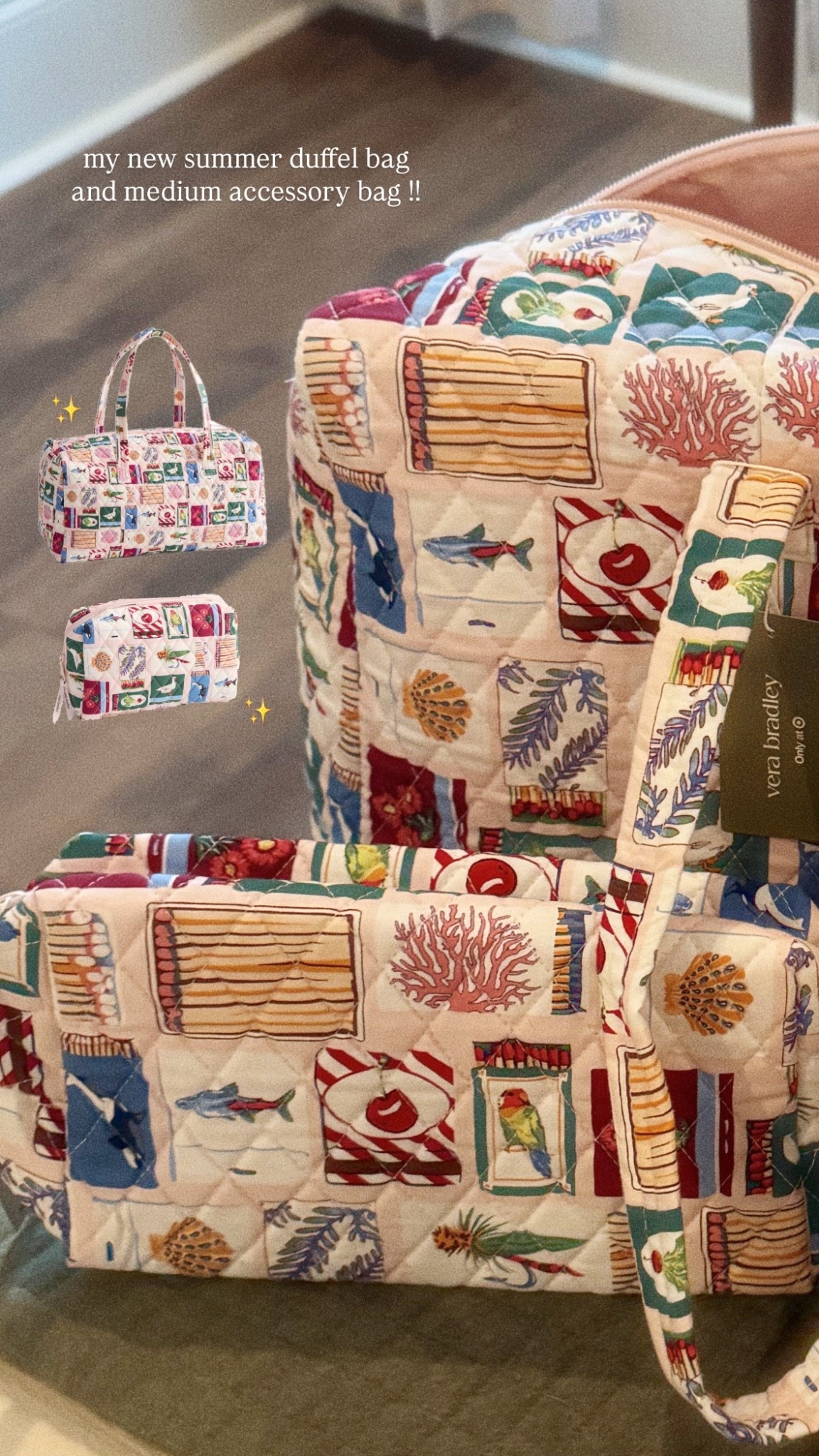 The CUTEST duffel and accessory bag from Vera Bradley x target collab 💕✨🧡🦋

#LTKTravel #LTKU #LTKdayinmylife