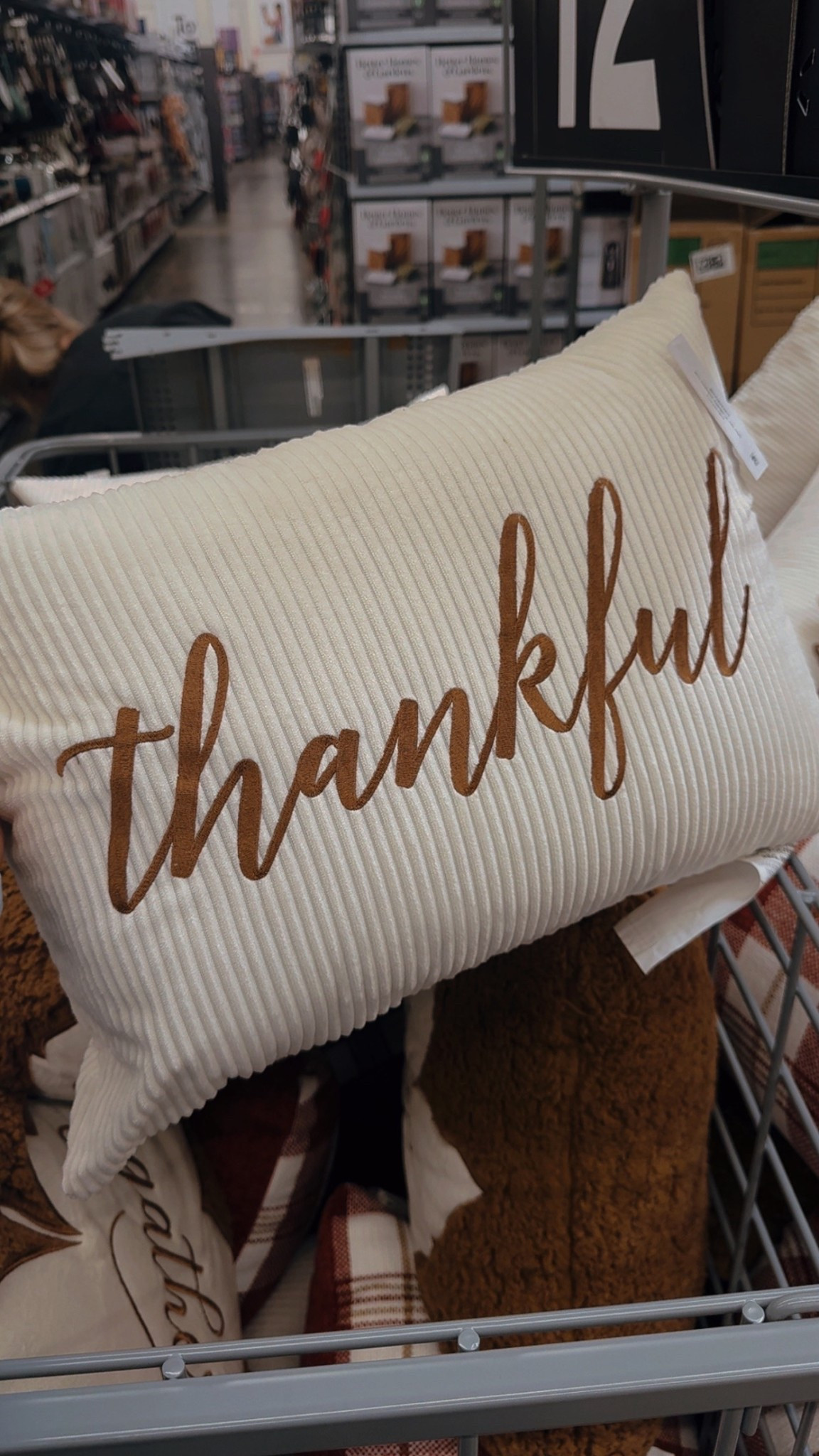 Feeling thankful and cozy 🕯️🍂 snagged these Walmart pillows for a steal — shop my exact finds on LTK 🛋️✨

#LTKHome #LTKHoliday #LTKSeasonal