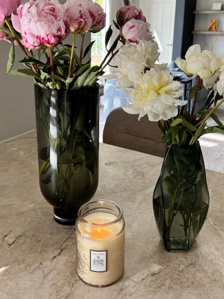 Voluspa is a great candle which lasts for a very long time. The scent of this one is Jasmine Midnight Blooms and it is beautiful. It’s light and not overpowering. 

#LTKhome #LTKSeasonal #LTKGiftGuide