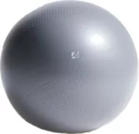 Fitness Gear Weighted Stability Ball | Dick's Sporting Goods