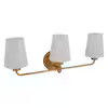 allen + roth Goldson 18.77-in 3-Light Gold Transitional Vanity Light | Lowe's
