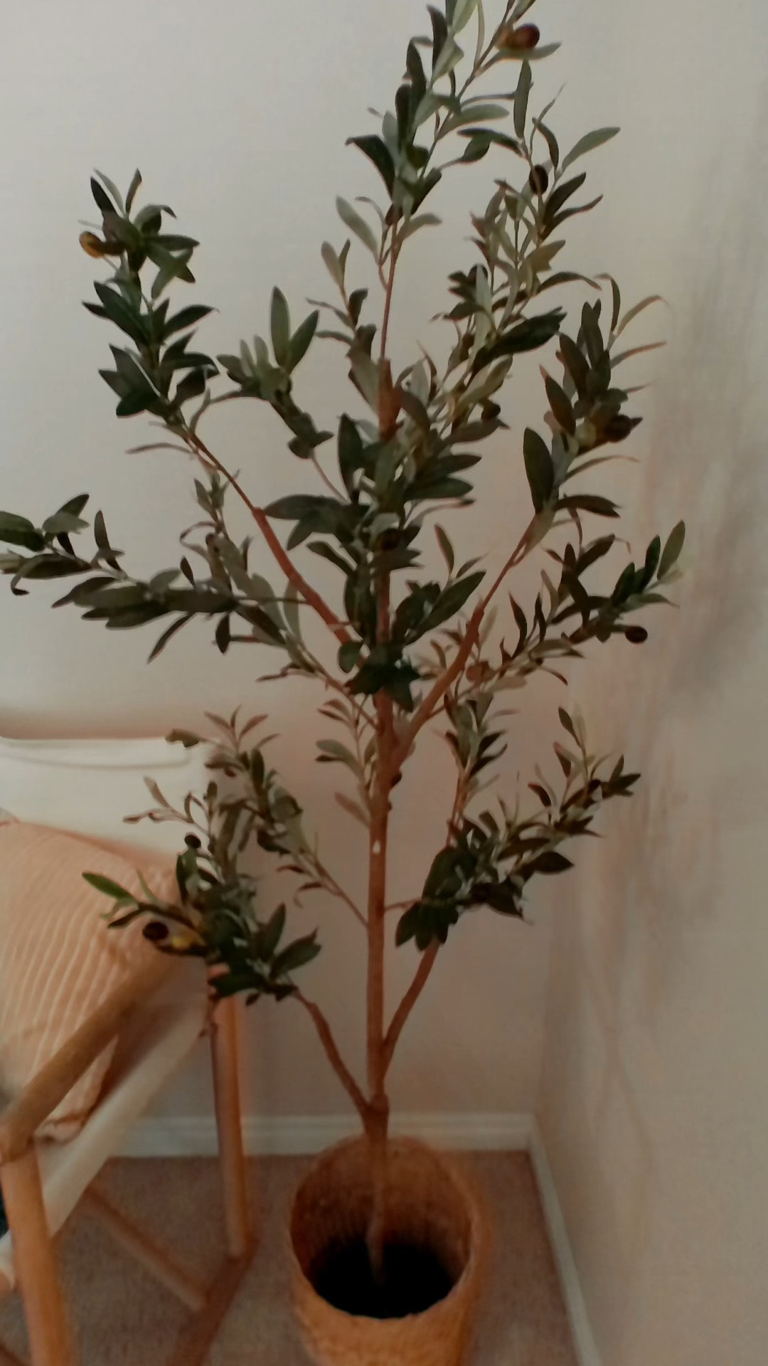 70%off Walmart deal! olive tree beautiful 

#LTKhome #LTKsalealert