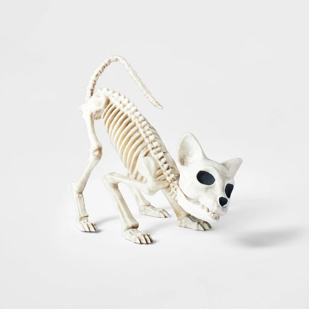 Crouching Kitten Skeleton Halloween Decorative Prop - Hyde & EEK! Boutique™ | Target