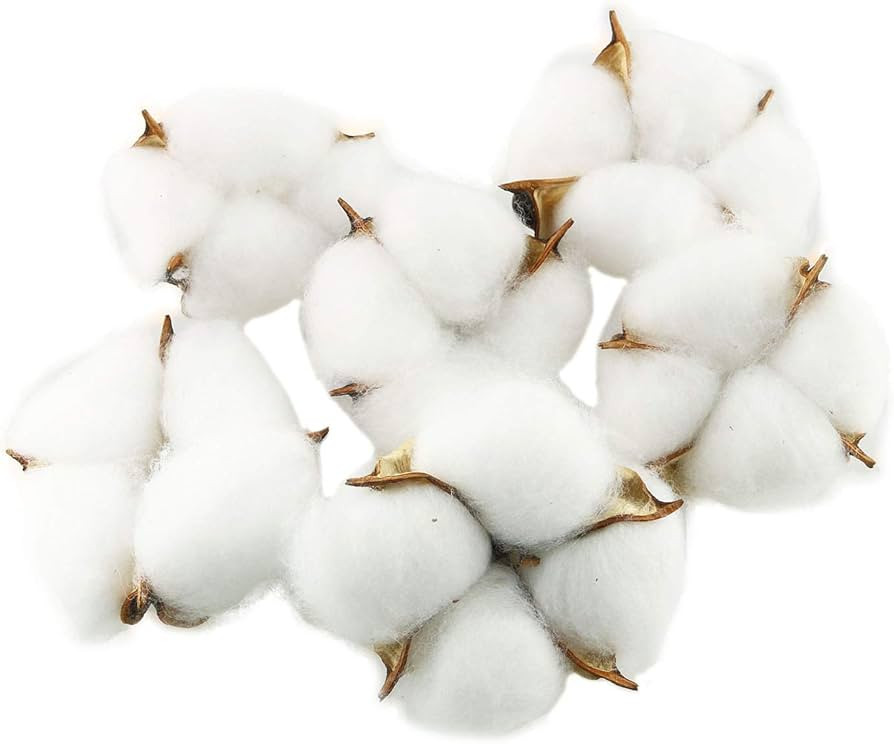 Tegg Cotton Boll 20PCS Natural White Cotton Balls Dried Cotton Pods for Crafting Farmhouse Style | Amazon (US)