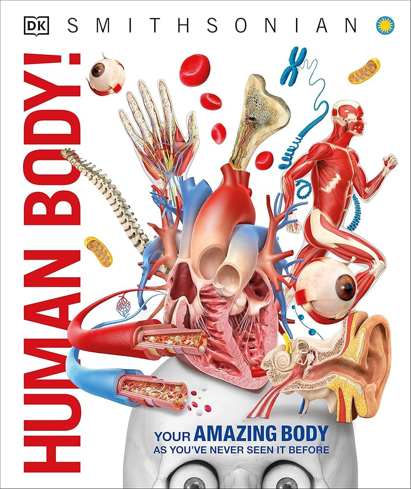 Knowledge Encyclopedia Human Body! (DK Knowledge Encyclopedias) | Amazon (US)
