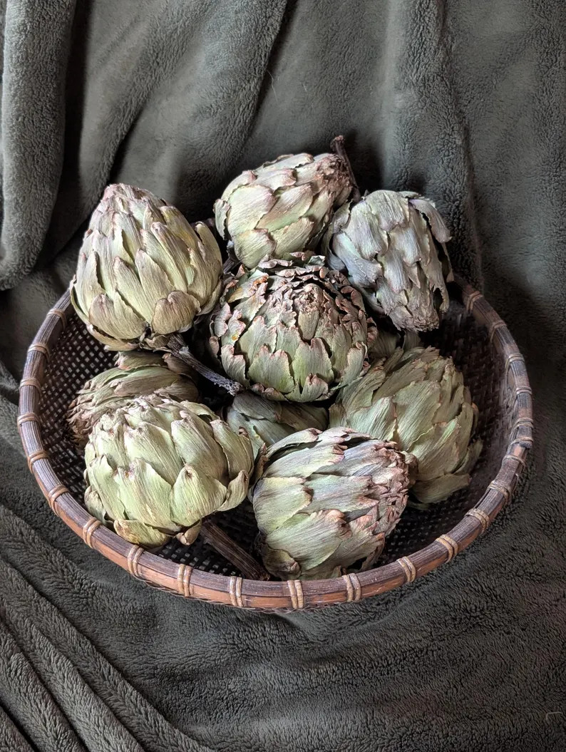 Dried Artichoke, Bowl Filler, Rustic Natural Home Decor, Real Dehydrated Artichokes | Etsy (US)