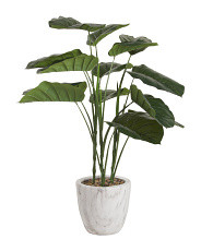 41in Elephant Ear In Marble Pot | TJ Maxx