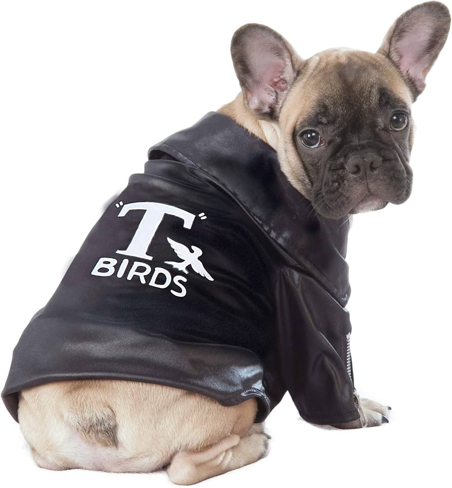 Rubie's Grease Pet T-Birds Costume Jacket, Small | Amazon (US)