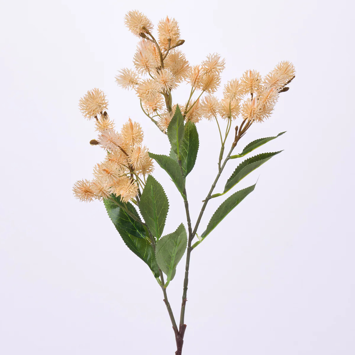 Lifelike Fuzzy Beige Thistle Branch Spray - 30" | Darby Creek Trading