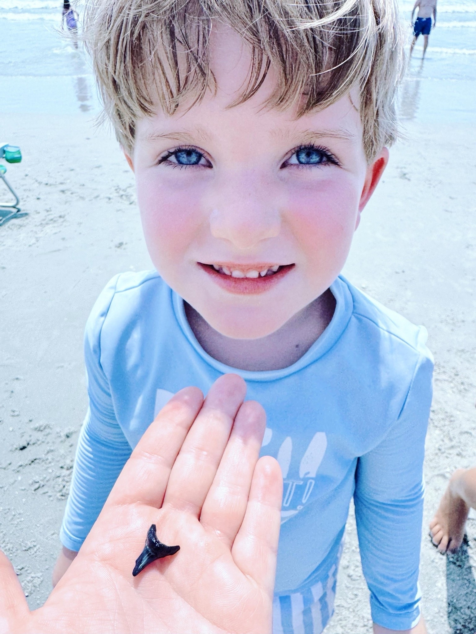 a u g u s t  a t  t h e  b e a c h 🌞🌊🌾 (& Judson’s biggest shark 🦈 tooth 🦷 ever !!!) - oh what sweet sweet memories 🎞️ we are making and our hearts 🥰 are so full !!! 🌅🐟🏝️🐚☀️🩵🏖️🦀 #beachtime #corebeachmemories #beachlovers #beachbabies #augustatthebeach