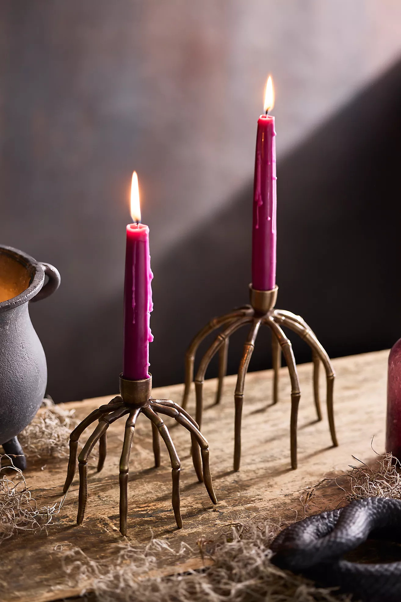 Bronze Spider Taper Holder | Terrain