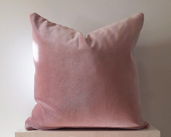 16x16 18x18 20x20 12x24 Pink Velvet Pillow Cover | Etsy (US)