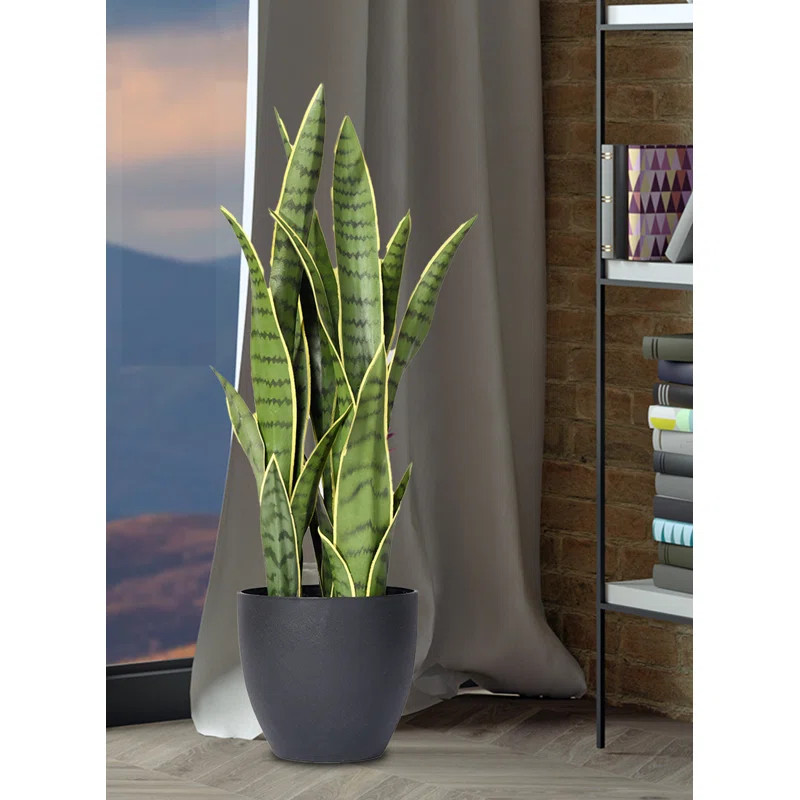 27'' Faux Snake Plant (Sansevieria) Plant in Pot | Wayfair North America