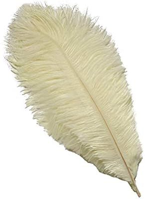 Sowder 10pcs Ostrich Feathers 12-14inch(30-35cm) for Home Wedding Decoration(Ivory) | Amazon (US)