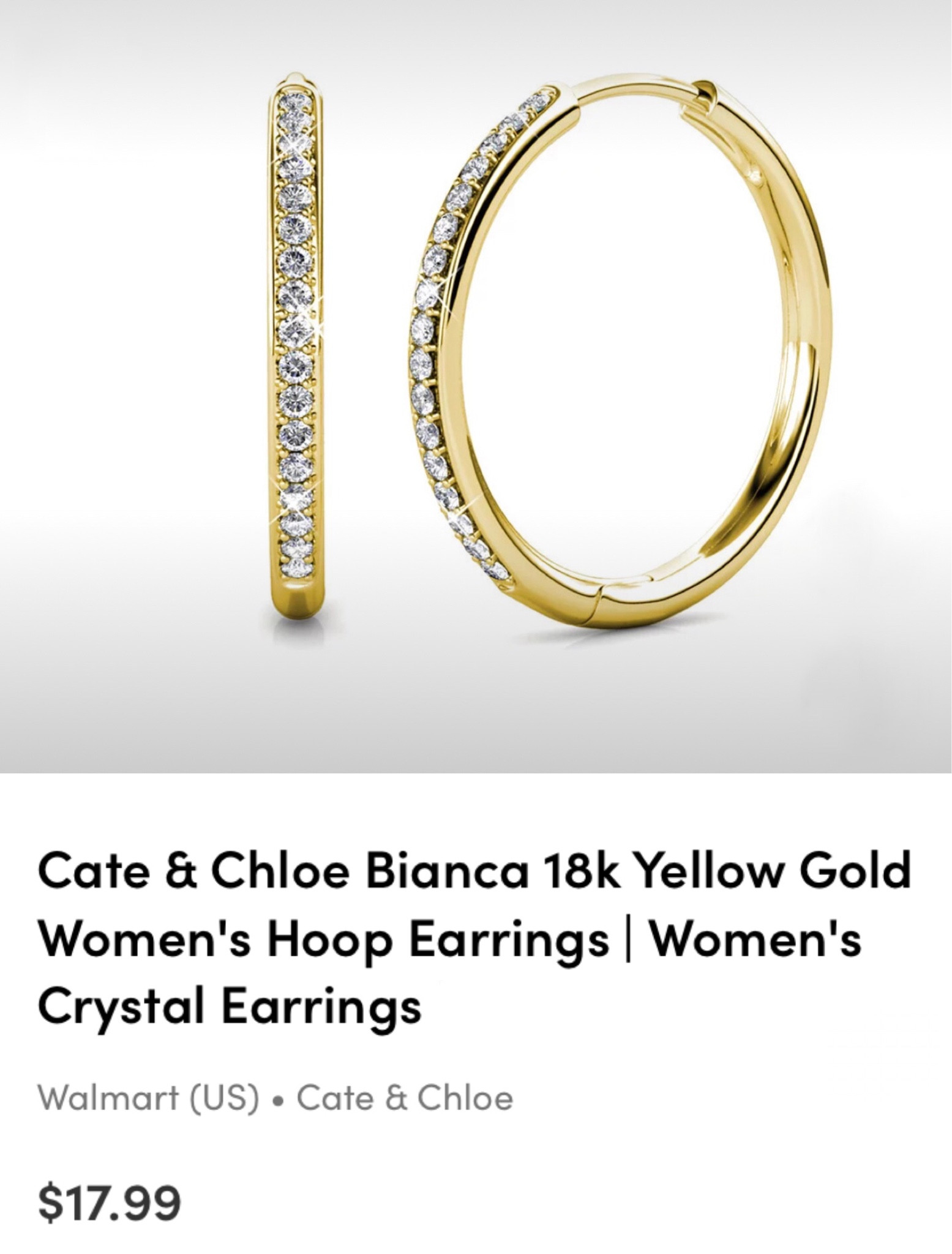 Cate & Chloe Bianca 18k White Gold Hoop Earrings