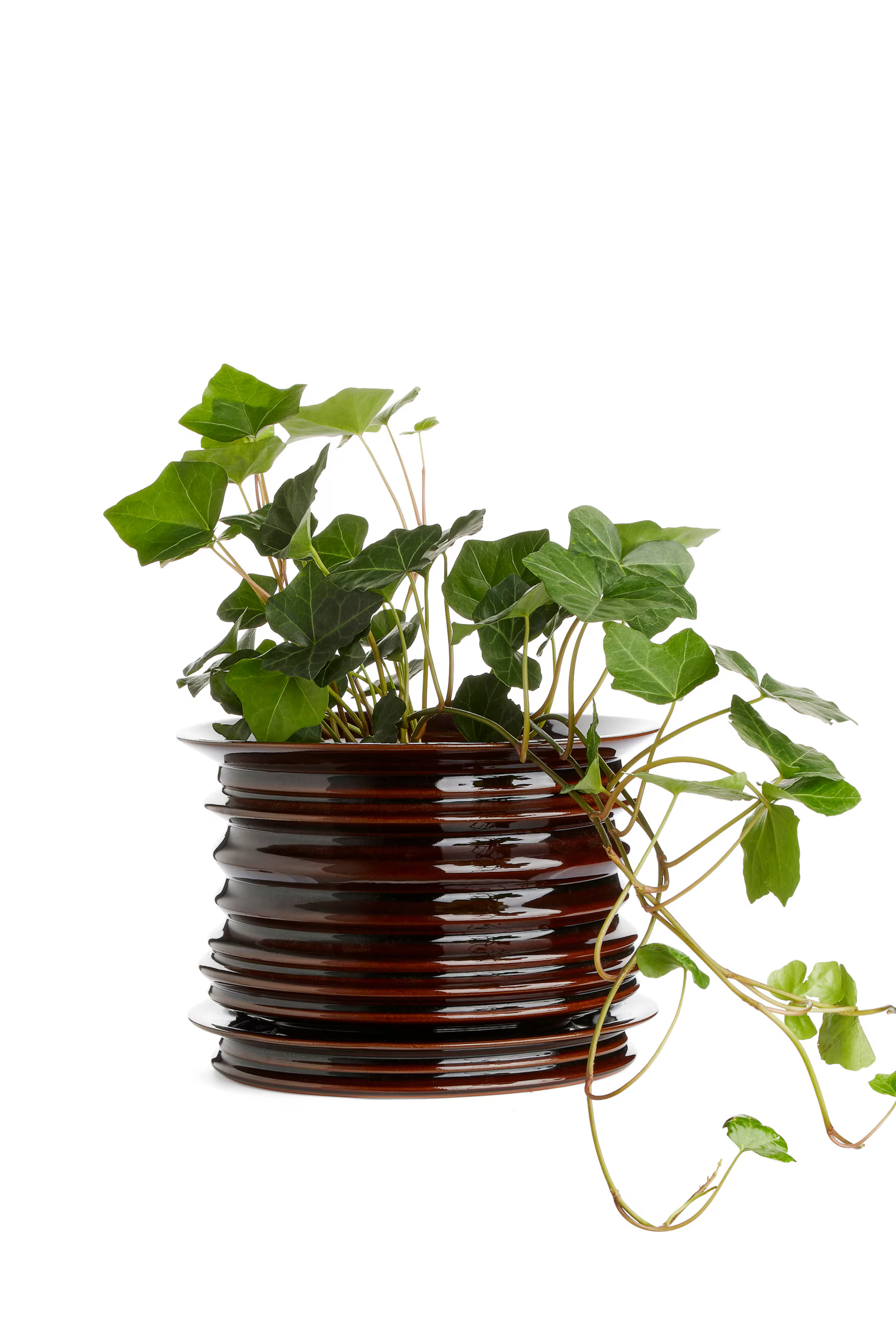 Ceramic Plant Pot | H&M (UK, MY, IN, SG, PH, TW, HK)