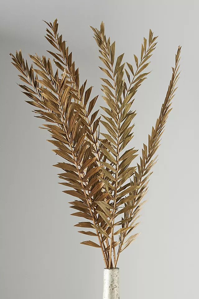 Dried Palm Sticks Bouquet | Anthropologie (US)