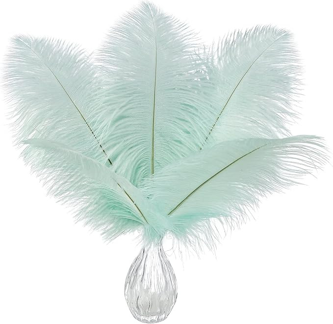 Ballinger Aqua Green Ostrich Feathers - 24pcs 10-12inch Craft Feathers Bulk for Wedding Party Cen... | Amazon (US)