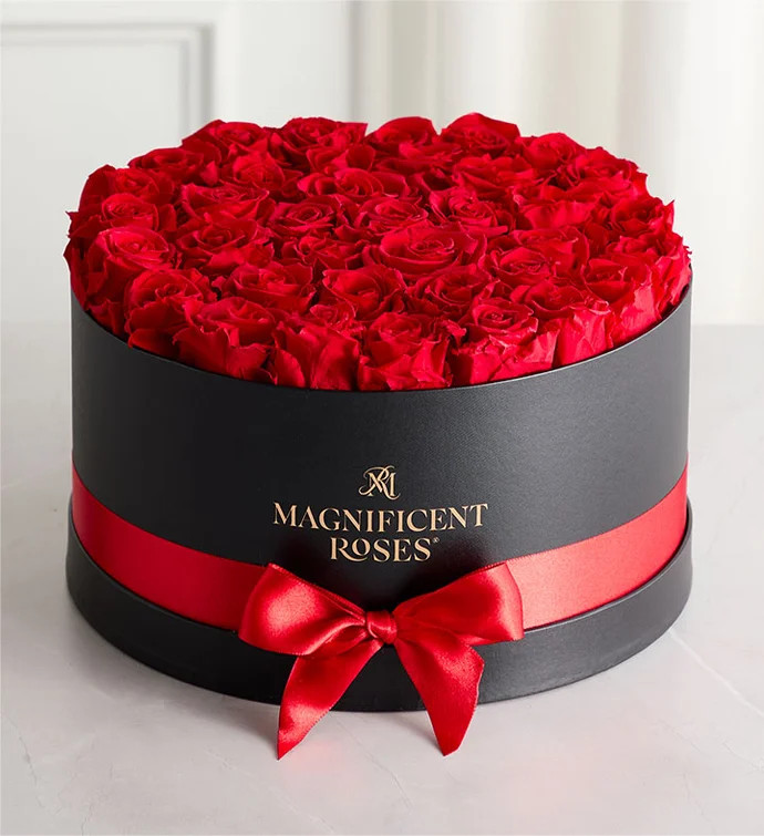 Magnificent Roses® Preserved Roses | 1800flowers.com