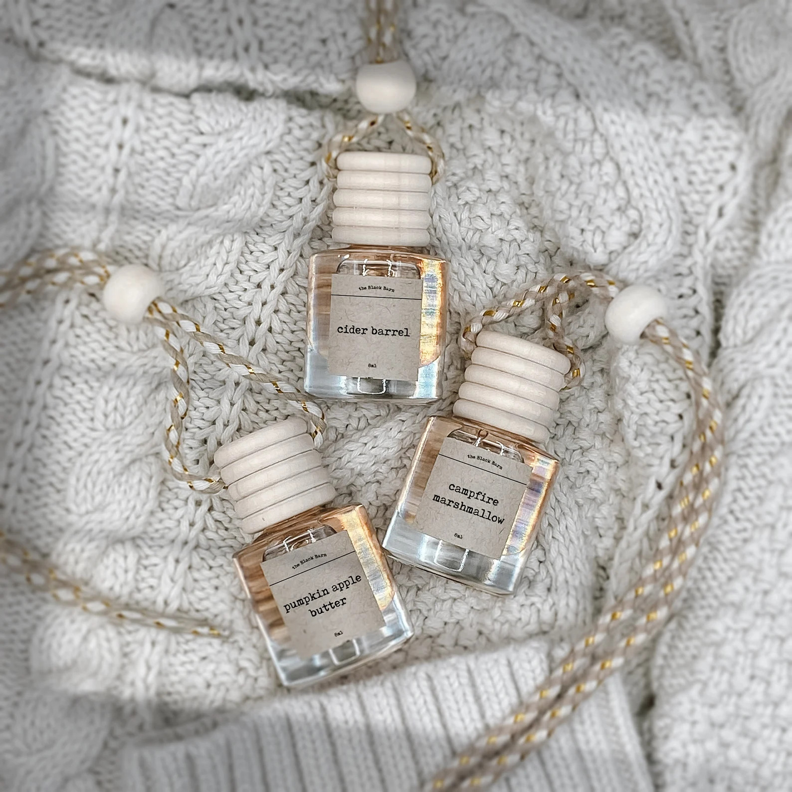 Fall/Winter Scented Car Diffuser: Hanging Air Freshener (8ml/10ml Refills Available) | Etsy (US)