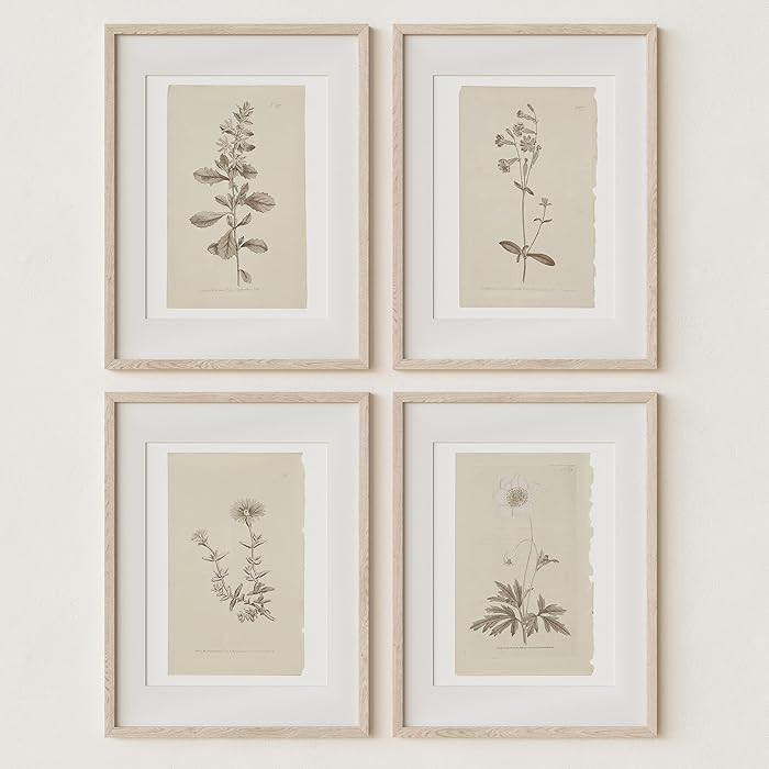Wall Art Botanical Plant Prints | Vintage Flower Boho Minimalist Floral Artwork Decor for Bedroom... | Amazon (US)