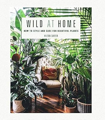 Wild at Home: How to style and care for beautiful plants | Amazon (US)