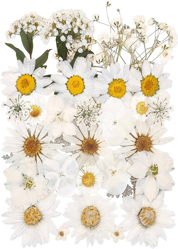 13 Types 37pcs White Dried Pressed Flowers for Resin Molds,Real Natural Pressed Flowers for DIY A... | Amazon (US)