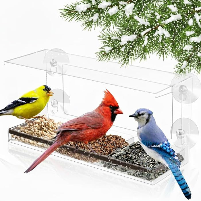 Nature's Hangout | Amazon (US)