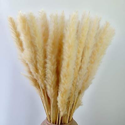 Feather Small Pampas Grass Bunch,Natural Dried Reed Plumes for Wedding Decor (Light Yellow) | Amazon (US)