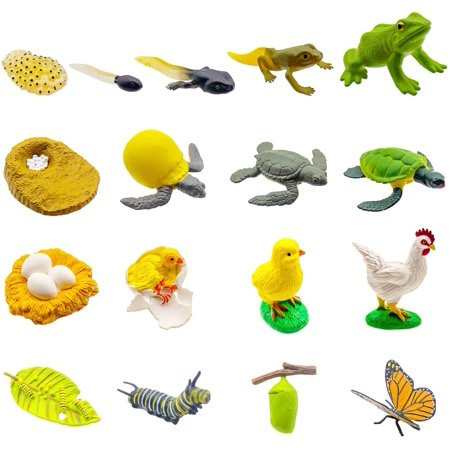 17 PCS Life Cycle Figures of Frog Chicken Sea Turtle Butterfly Early Education Animal Figures Biolog | Walmart (US)