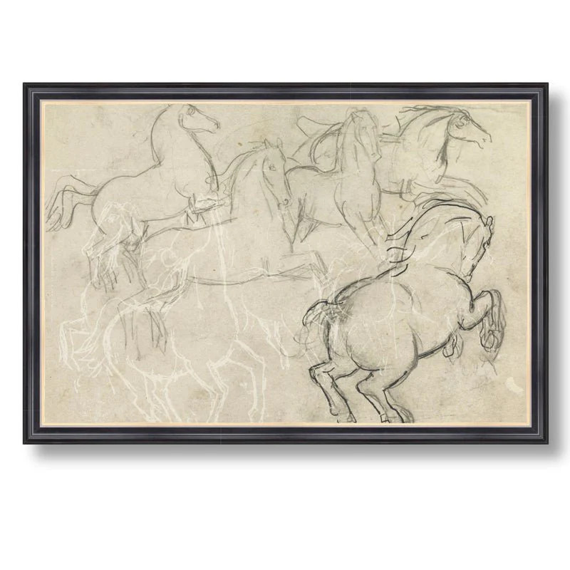 Wild Horses | North and Finch