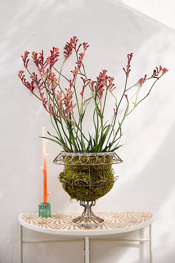 Scalloped Wire Urn Planter | Anthropologie (US)