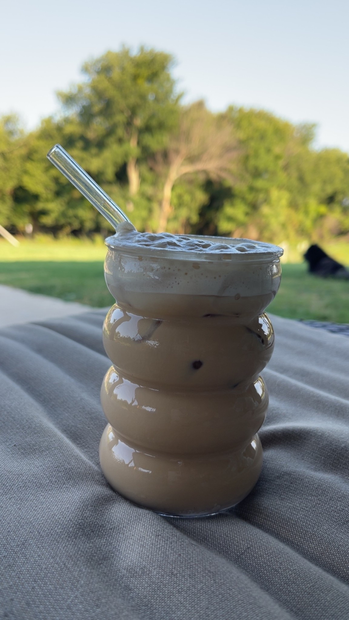 perfect iced coffee glasses (a set of 2 cups with glass straws included) 

#LTKHome