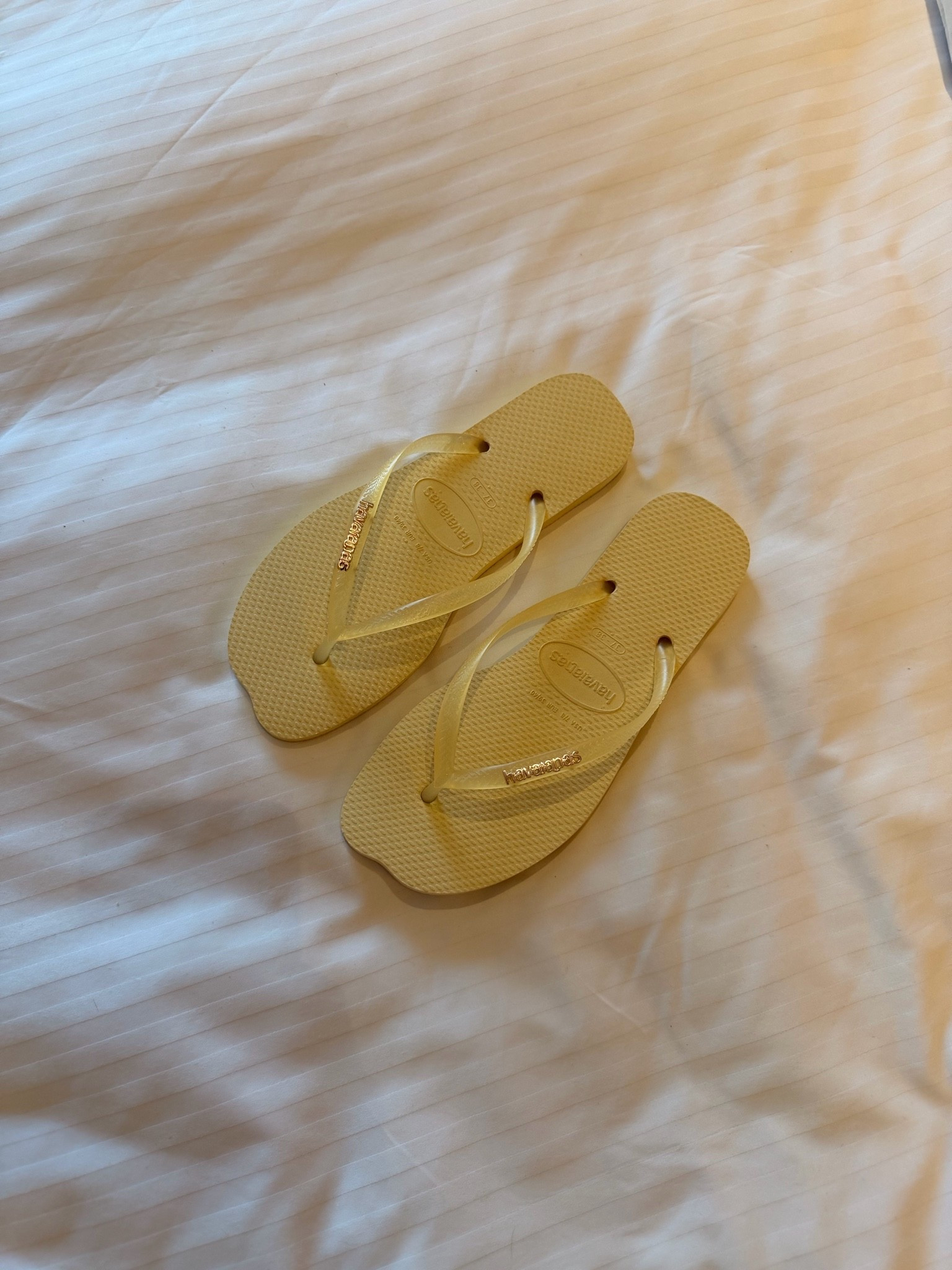 🍋⭐️🌼🍯