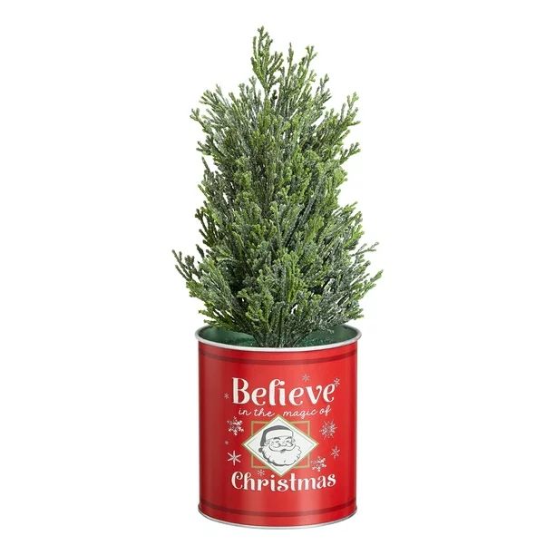 Holiday Time Believe in the Magic of Christmas Mini Potted Tree Tabletop Decoration, 10" | Walmart (US)