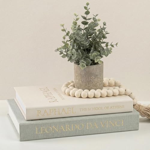 Upgraded Decorative Books for Home Decor - Coffee Table Faux Books for Decoration, Linen Fake Book Storage Box for Entryway, Bookshelf, Modern, Boho, Farmhouse & Neutral Aesthetic Decor, Set of 2 | Amazon (US)
