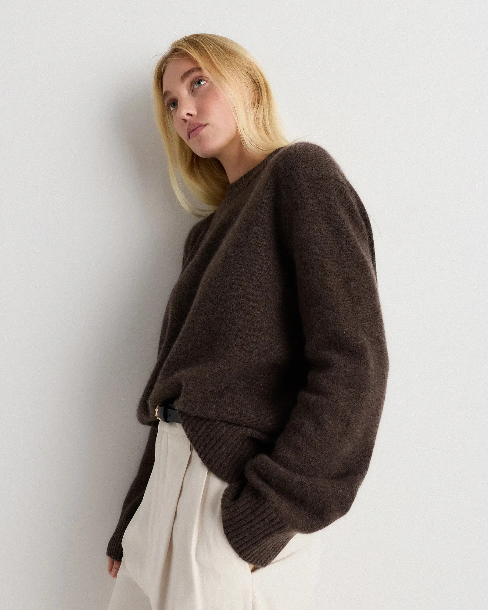 Mongolian Cashmere Oversized Crewneck Sweater | Quince