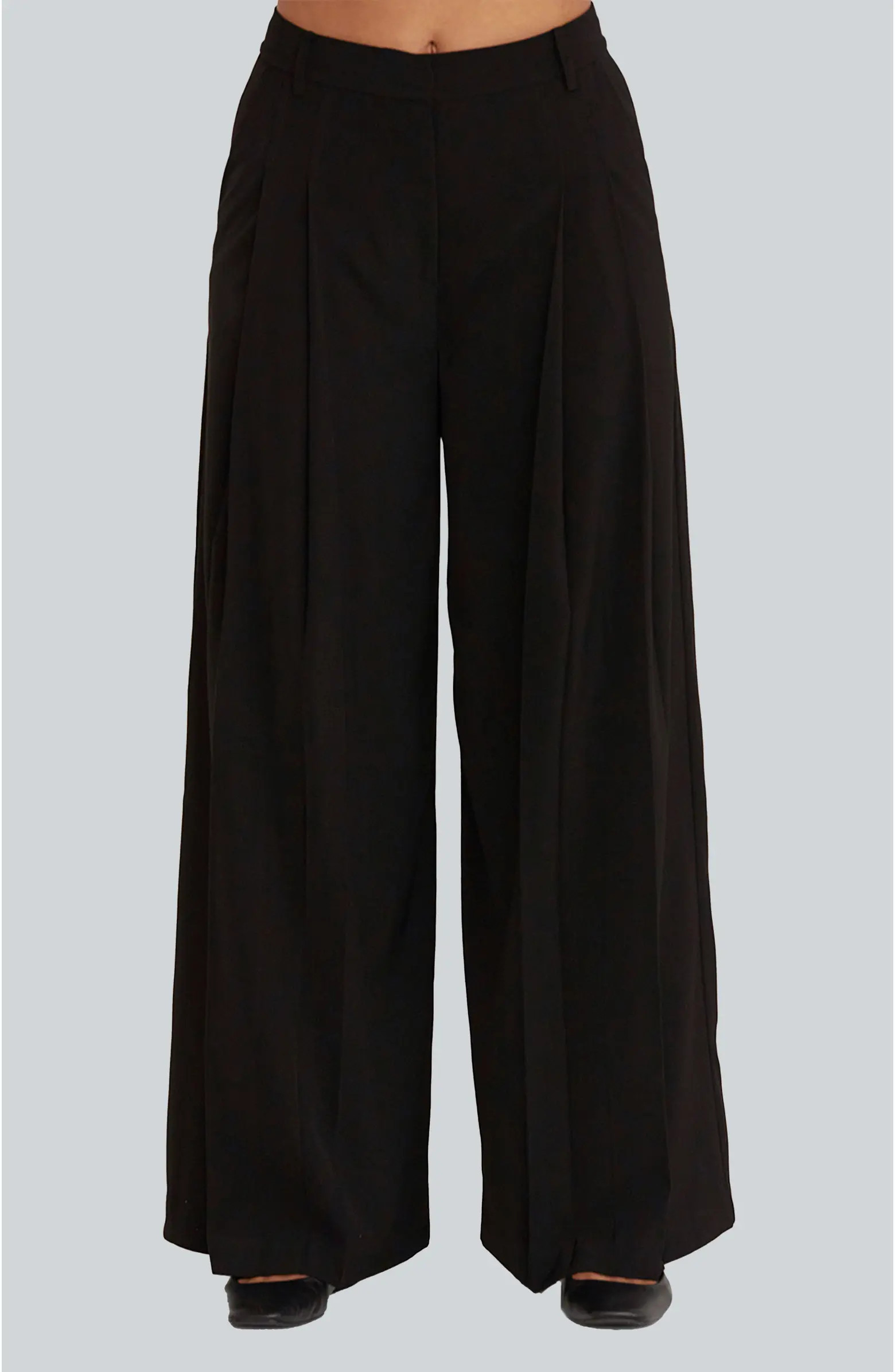 Pleated Wide Leg Trousers | Nordstrom