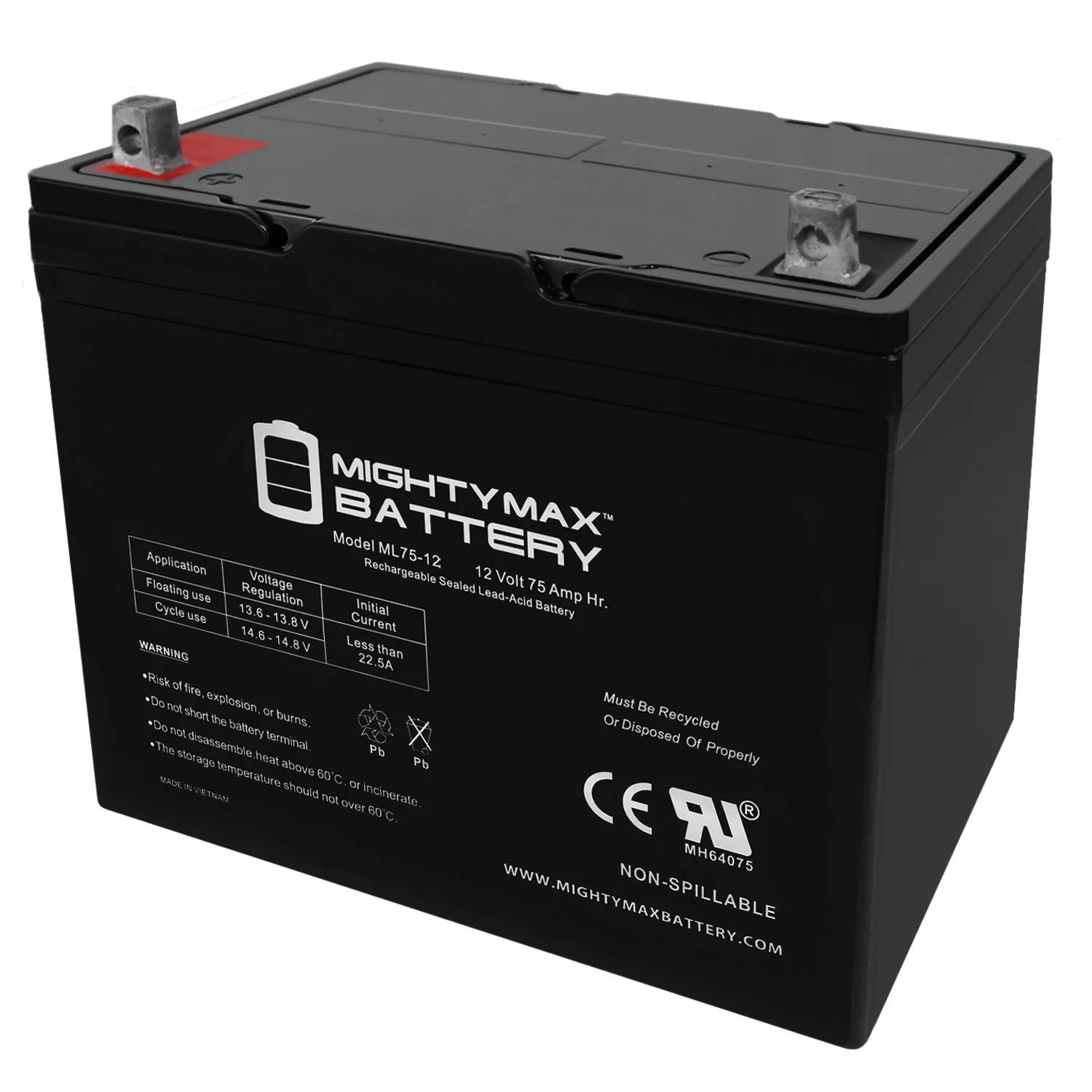 12V 75Ah SLA Battery for Wayne ESP25 Back-Up Pump | Walmart (US)