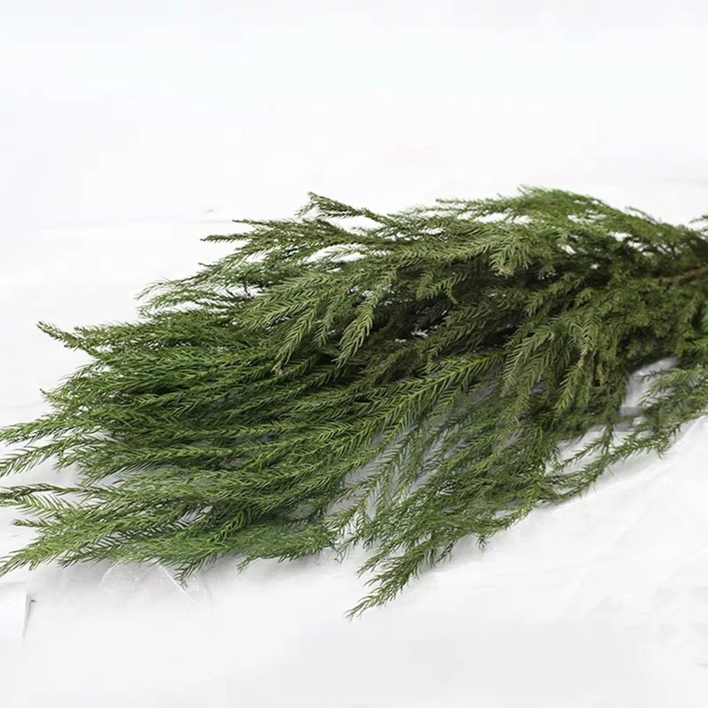 15 Stem Christmas Tree Leaves / Natural Dried Flower Leaves / | Etsy | Etsy (US)