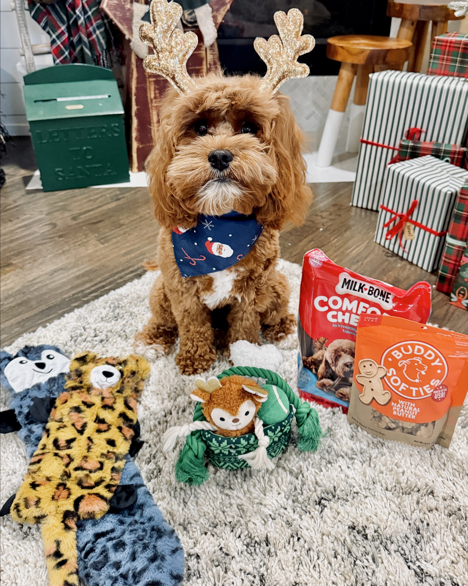 Christmas gifts & stocking stuffers for the furry family favorite: the dogs in your life!


#LTKGiftGuide #LTKSeasonal #LTKHoliday