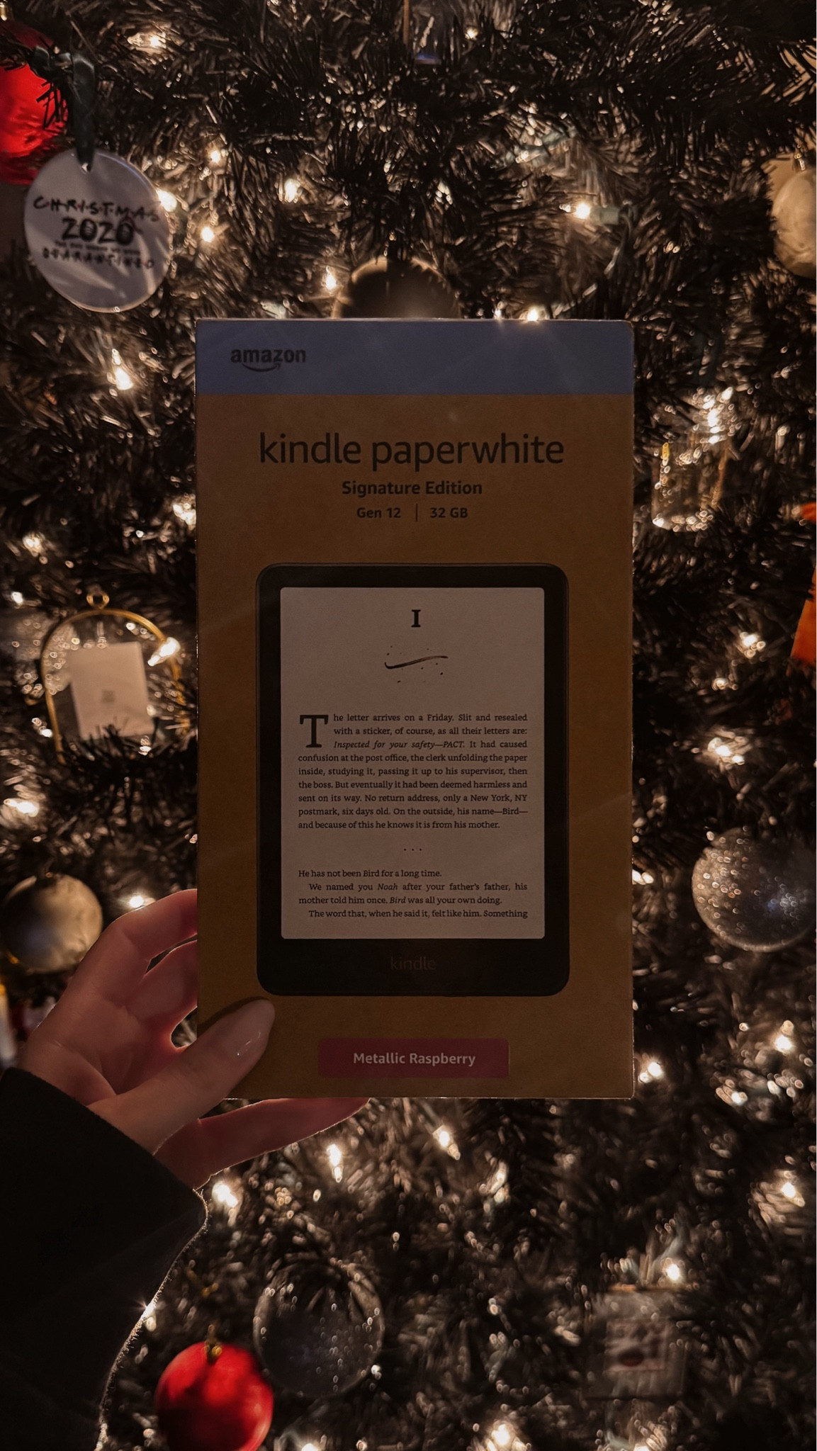 a very early merry christmas to myself 🎁  #kindle #kindlepaperwhite #kindlepaperwhitesignatureedition 

#LTKGiftGuide #LTKHoliday