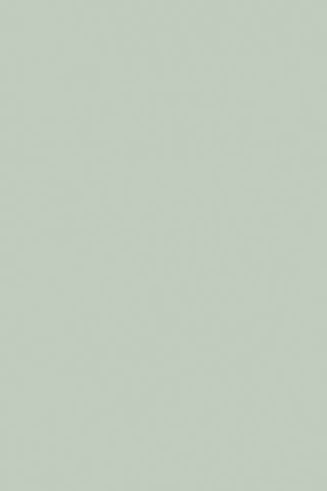 Teresa's Green No.236 - 1 Gallon | Anthropologie (US)