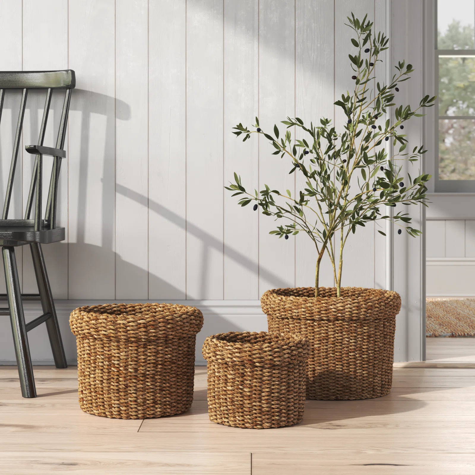Salana Handmade Seagrass Decorative Basket - Set of 3 | Birch Lane