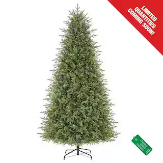 Home Decorators Collection 9 ft. Pre-Lit LED Grand Duchess Balsam Fir Artificial Christmas Tree 2... | The Home Depot